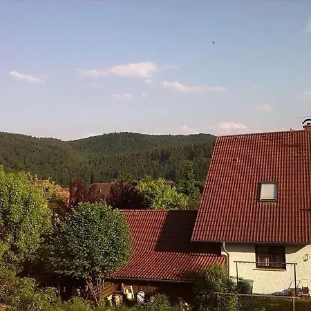 Hochgrebe 