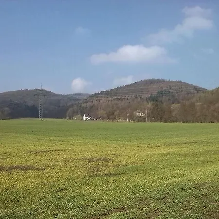 Hochgrebe 